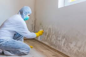 Best Emergency Mold Remediation in East Merrimack, NH