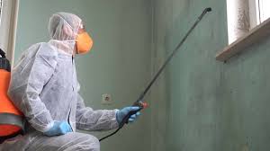 Best Commercial Mold Inspection in East Merrimack, NH