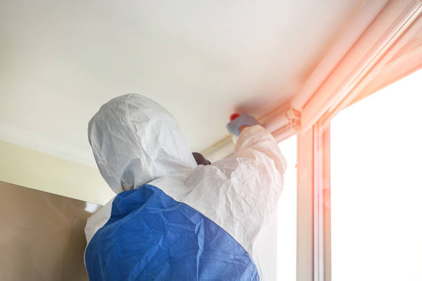 Best Residential Mold Inspection & Testing in East Merrimack, NH